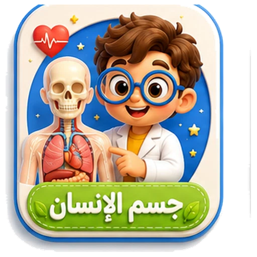 أيقونة جسم الإنسان ثلاثية الأبعاد